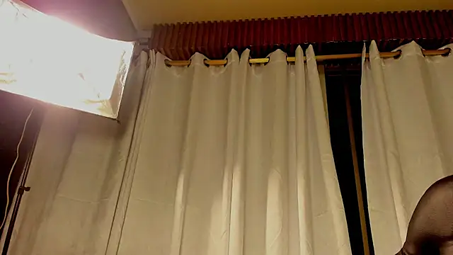 ren_flex webcam