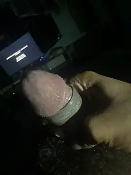 Perk_S webcam