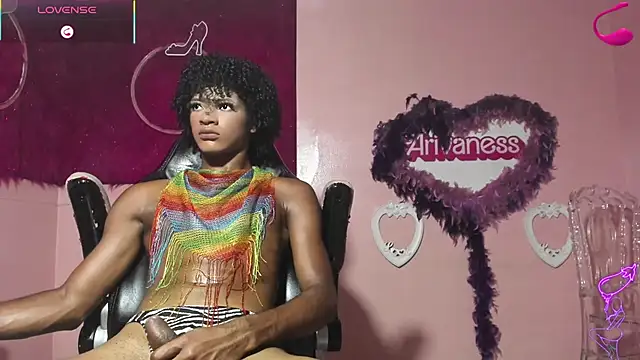 daicha_dream webcam
