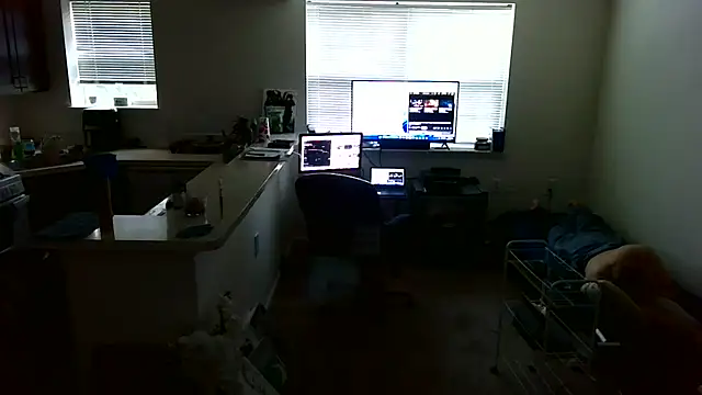 Q1357q webcam