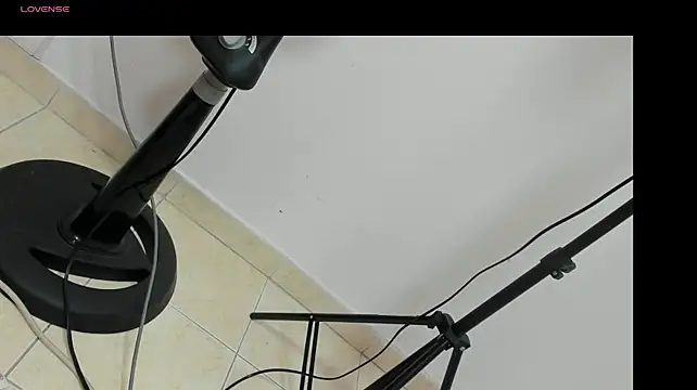 lily_rose1 webcam