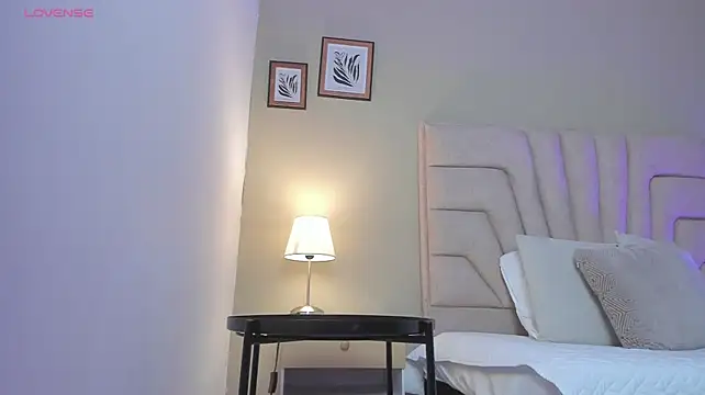 nova_silk webcam