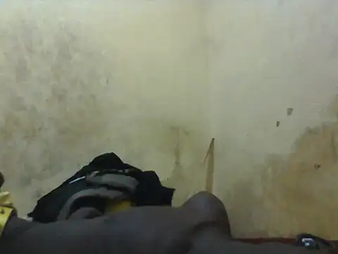 tencum webcam