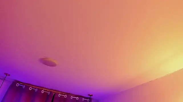 SaraFont webcam