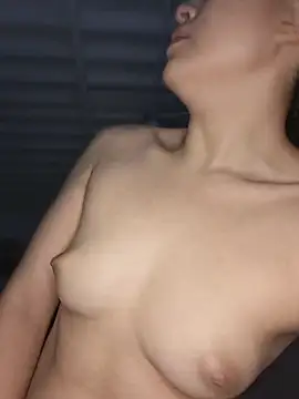 Lubnna webcam
