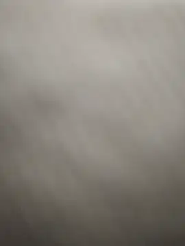 Dalton2288 webcam
