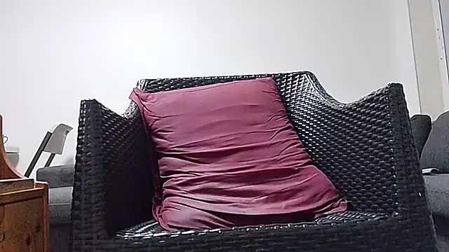 Tyyson03 webcam