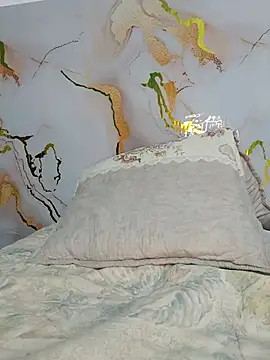 Bulletact webcam