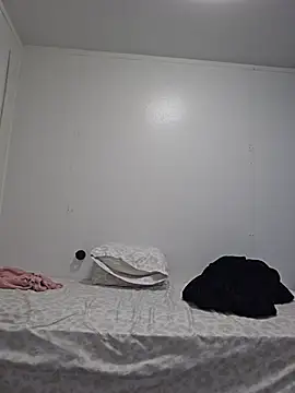 Edw95S webcam