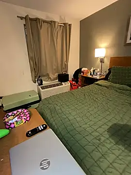 Tattedupdek webcam