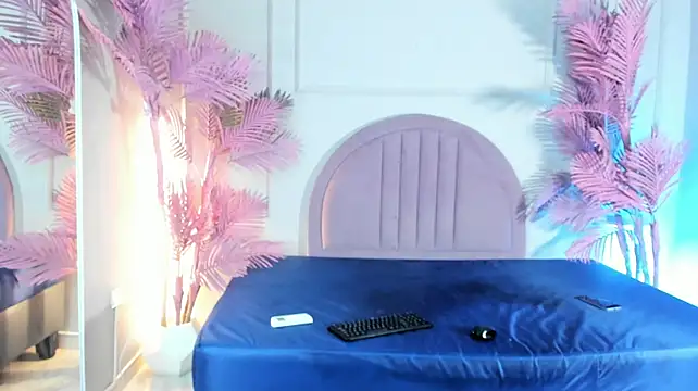 Nalapalmer webcam
