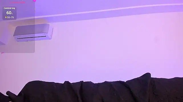 CataSaint webcam