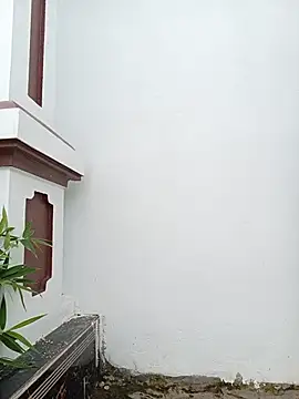 Vera- webcam