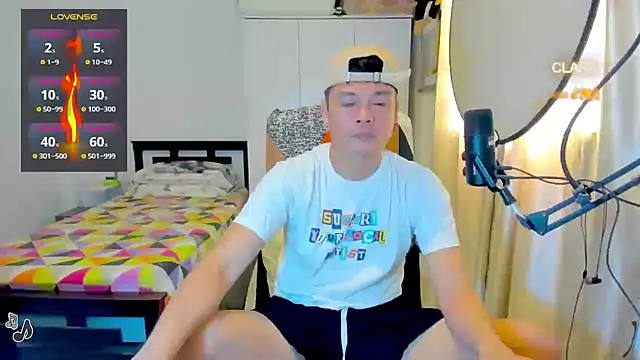 clarkdangerous webcam