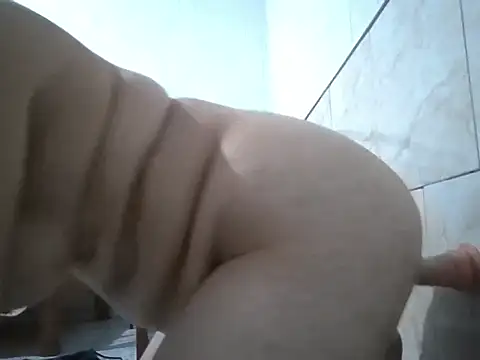 AlexaStripper webcam