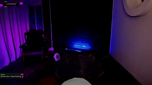 cee2nv webcam