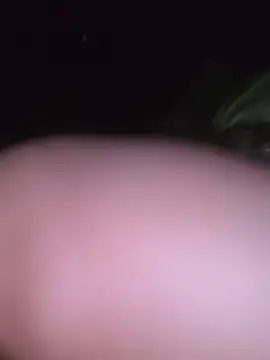 evi42 webcam