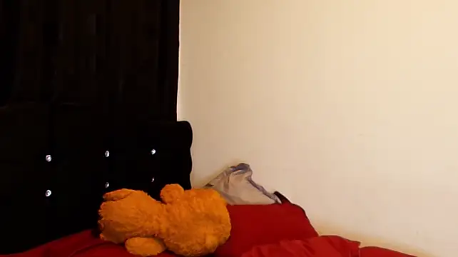 jimmy_class webcam