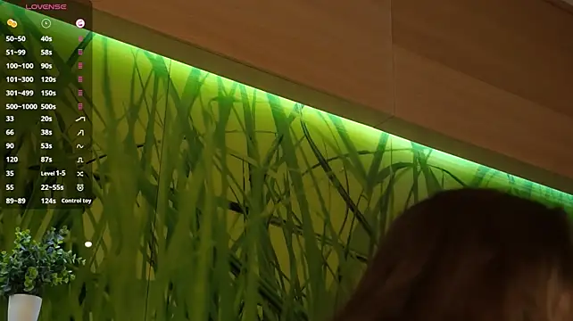 MarlinVarian webcam