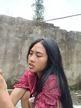 Hoa-tuylip webcam