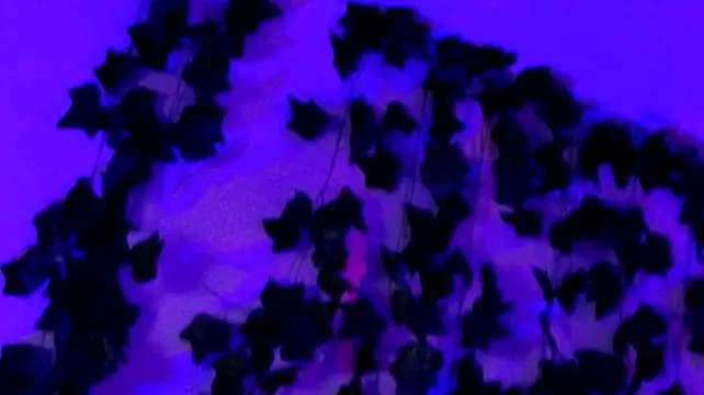 Kumiho_7777 webcam