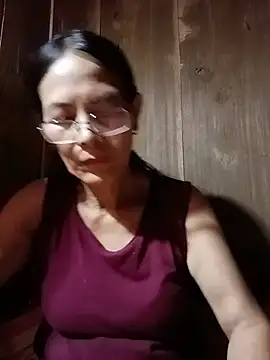 toyo_668 webcam
