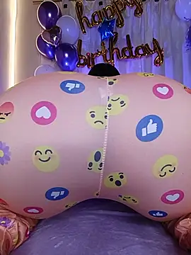 ROUSSE_SINCLAIR webcam