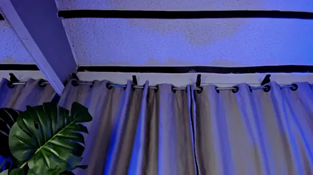 EviePhoenix webcam