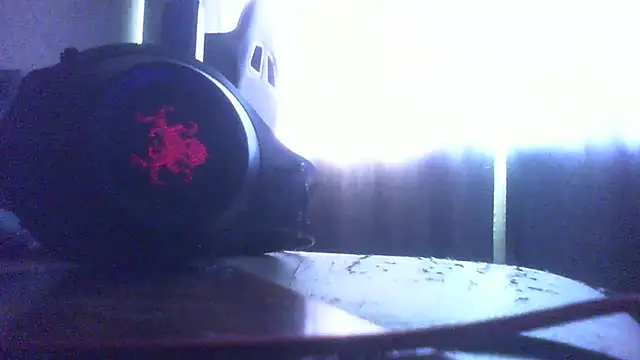 SmallBoy322 webcam