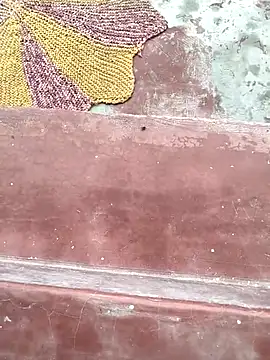 Punammishra live sex cam
