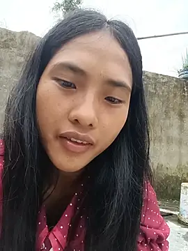 hoa-tuylip