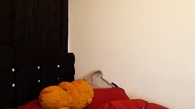 jimmy_class webcam