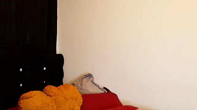 jimmy_class webcam