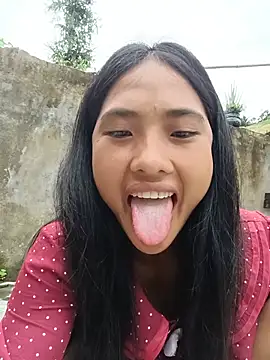 Hoa-tuylip webcam