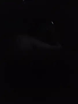 Hornytranyforyou webcam