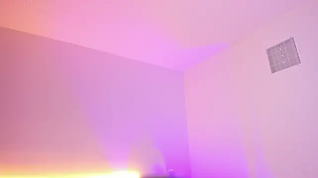 Amber_Palmer webcam