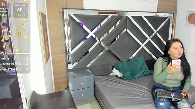 SkyCollins webcam