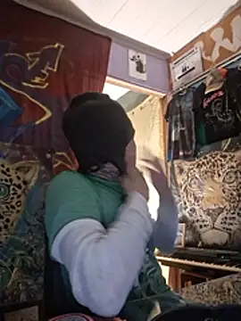 Toycockhot webcam
