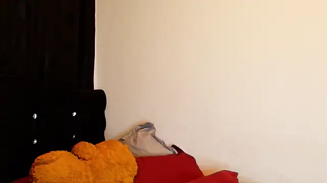 jimmy_class webcam