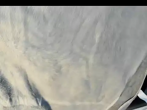 AlixDream_HL webcam