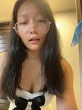wt0314 webcam