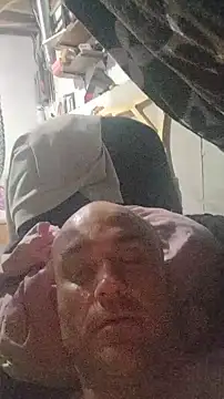 BulbasaurIsmettv webcam