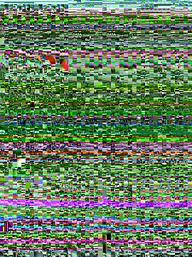 kHatsune webcam