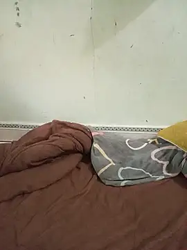 aiai220 webcam