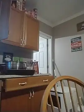 ReallyReallyReal webcam