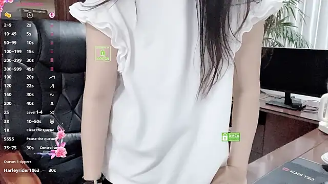 Kaixin520 webcam