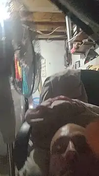 BulbasaurIsmettv webcam