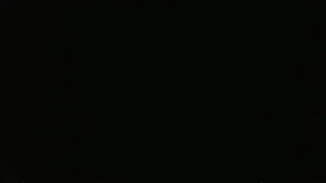 falconcam webcam