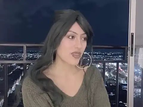 LiaMagnetic webcam