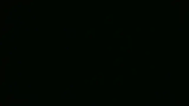 Velvet02 webcam